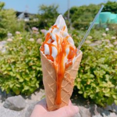 【福岡県筑紫野市】おすすめ 観光地  ミルク工房 ラッテビアンコ 【石橋ファームランド】 ｜2020.06.07