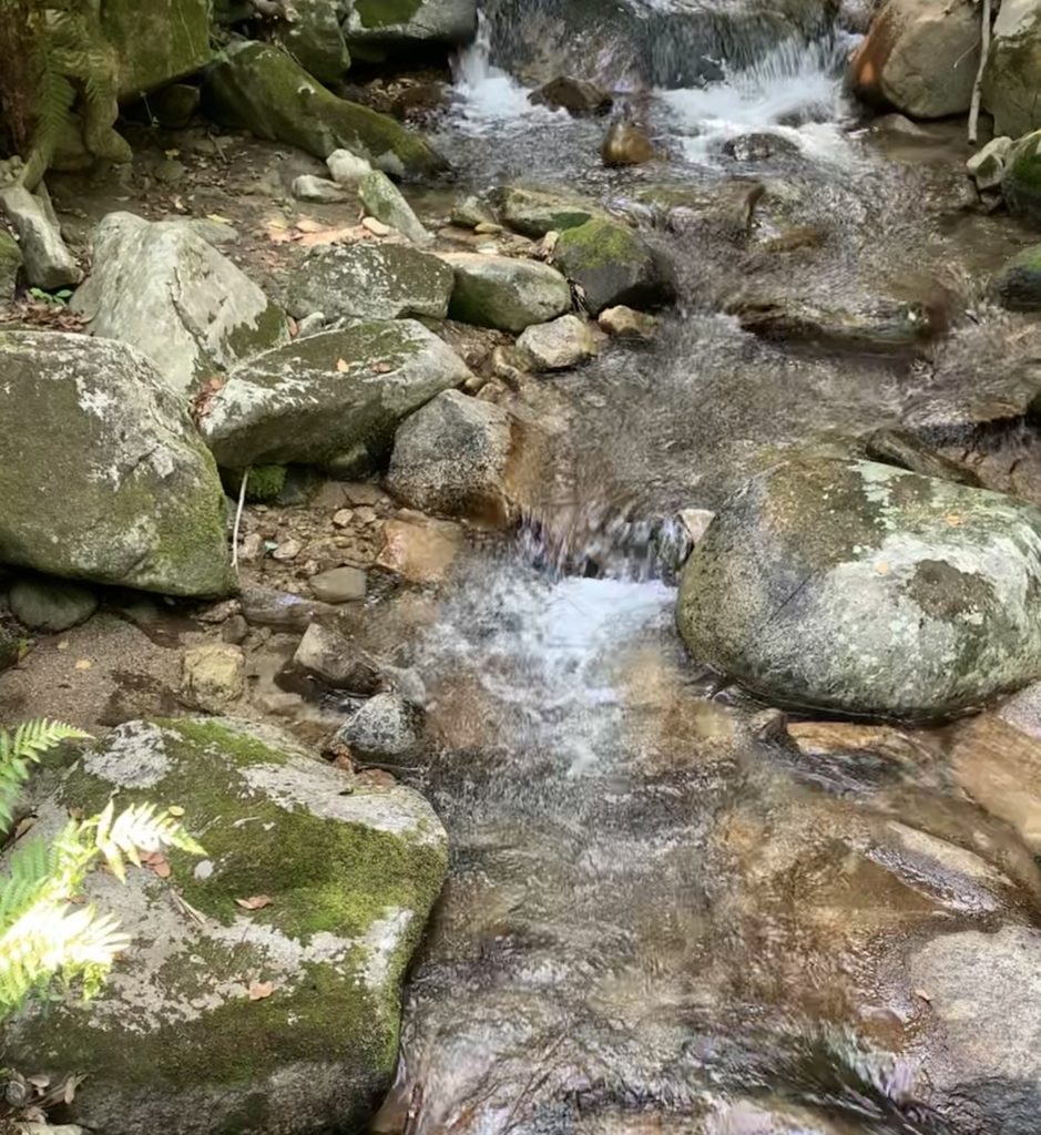 佐賀県鳥栖市御手水の滝の川