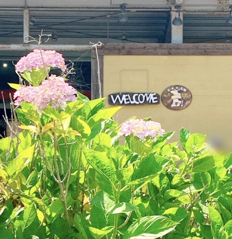 石橋ファームランドミルク工房ラッテビアンコ